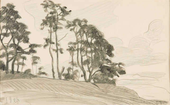 Ватагин Василий Алексеевич. Пейзаж с соснами